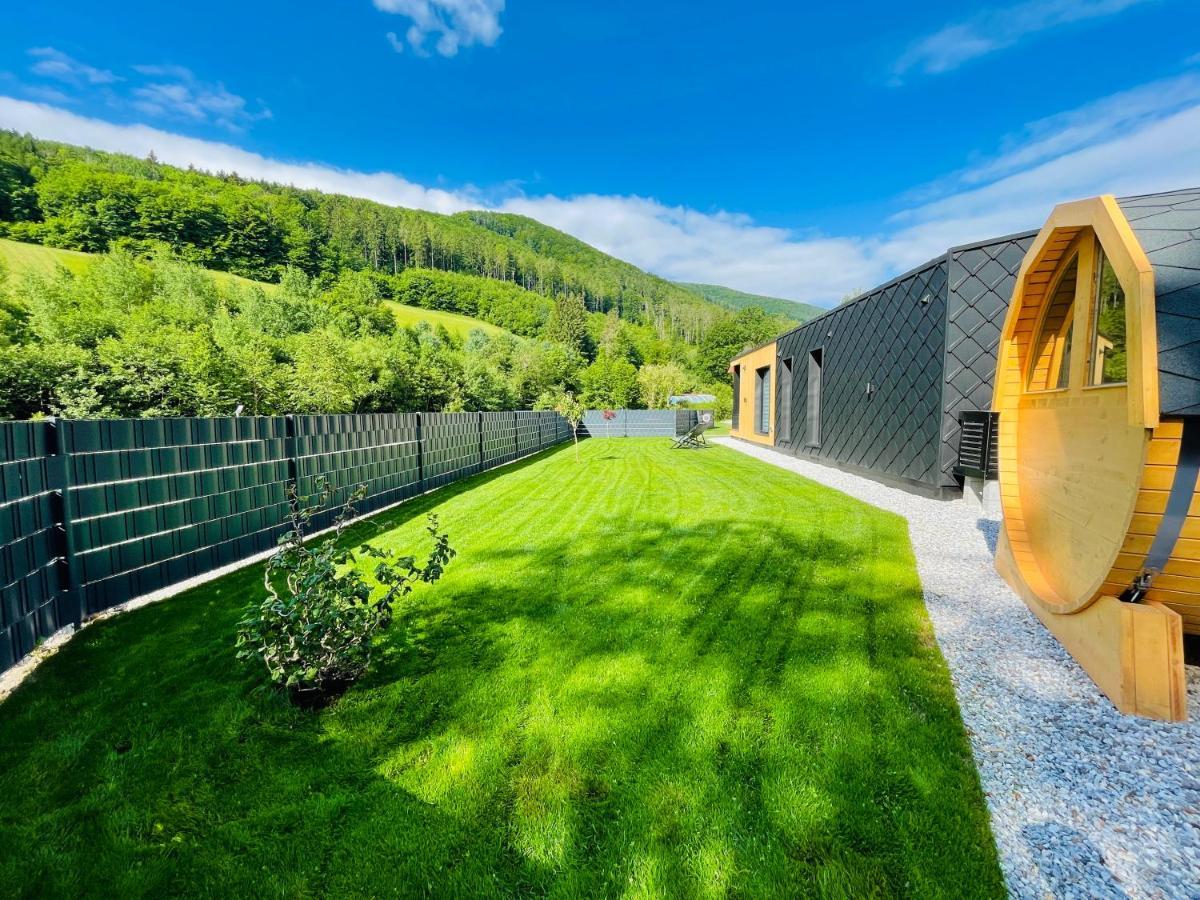 Voralpen Lodge - Ferienhaus Mit Gym, Sauna & Hot Tub Traisen Exteriér fotografie