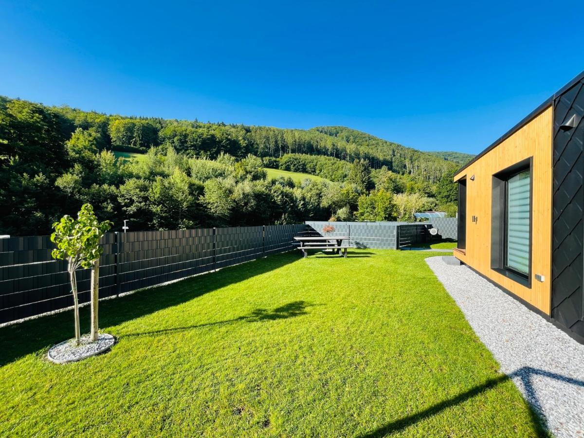 Voralpen Lodge - Ferienhaus Mit Gym, Sauna & Hot Tub Traisen Exteriér fotografie