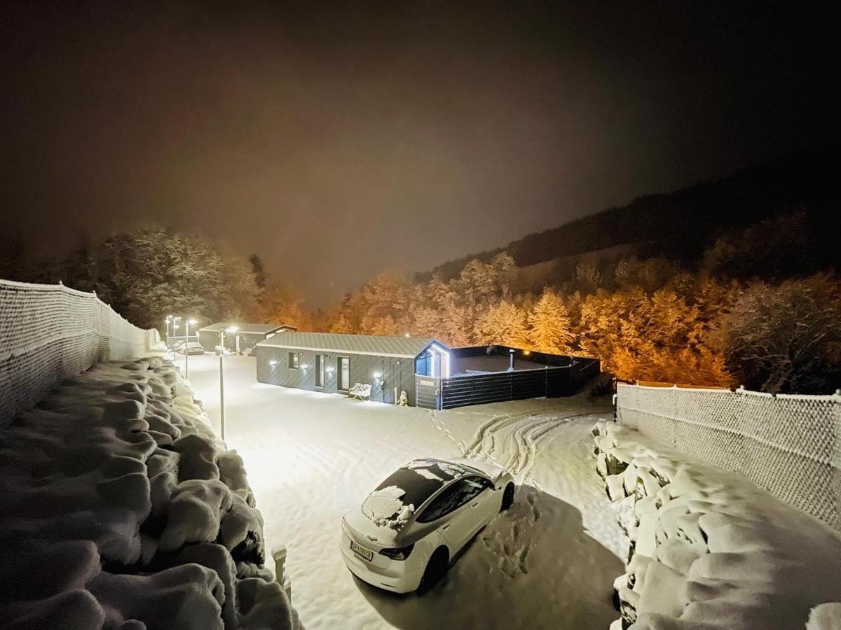 Voralpen Lodge - Ferienhaus Mit Gym, Sauna & Hot Tub Traisen Exteriér fotografie