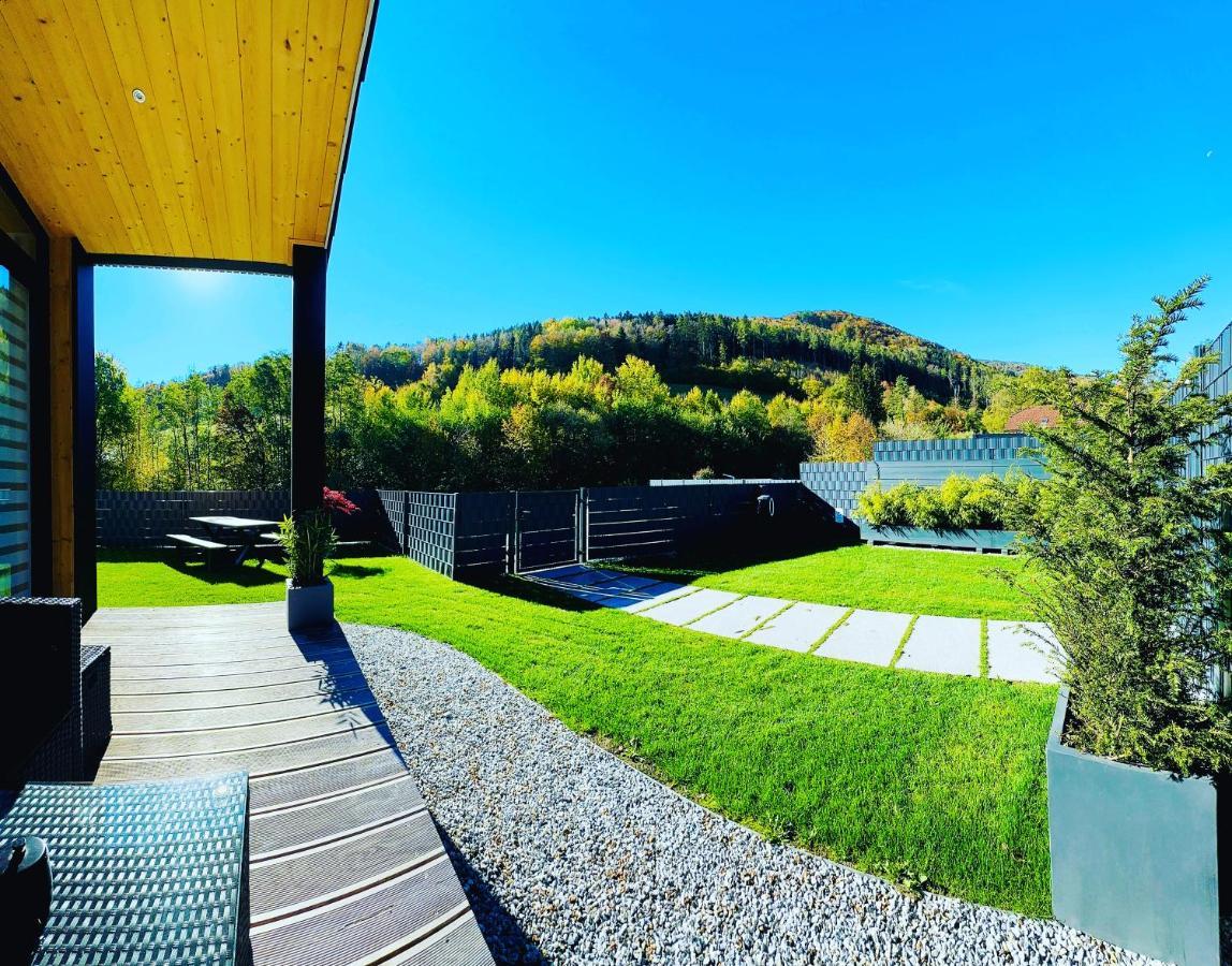 Voralpen Lodge - Ferienhaus Mit Gym, Sauna & Hot Tub Traisen Exteriér fotografie